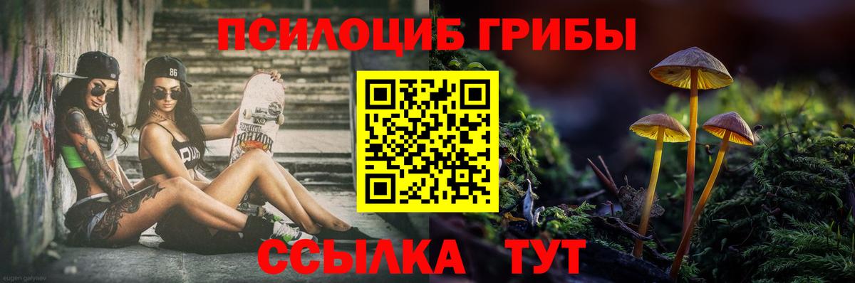 Галлюциногенные грибы Cubensis  Вход с VPN  наркотики  Борисоглебск 